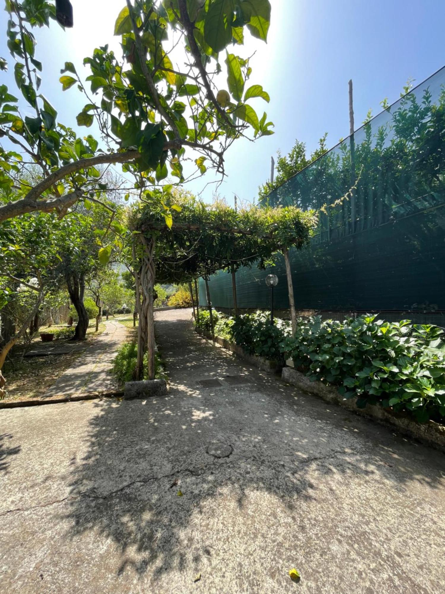 Villa Rosmary Massa Lubrense Ngoại thất bức ảnh