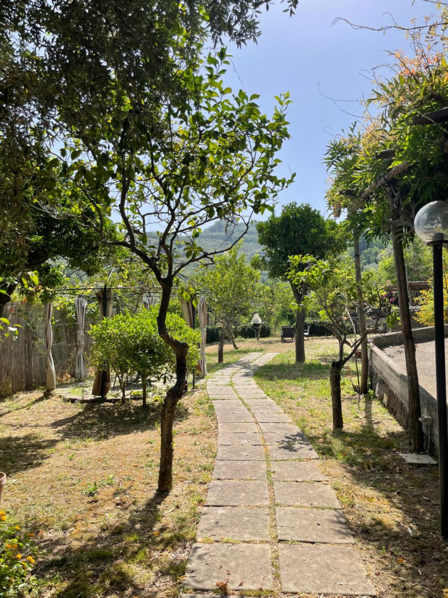 Villa Rosmary Massa Lubrense Ngoại thất bức ảnh
